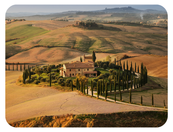Tuscany’s Wine Odyssey